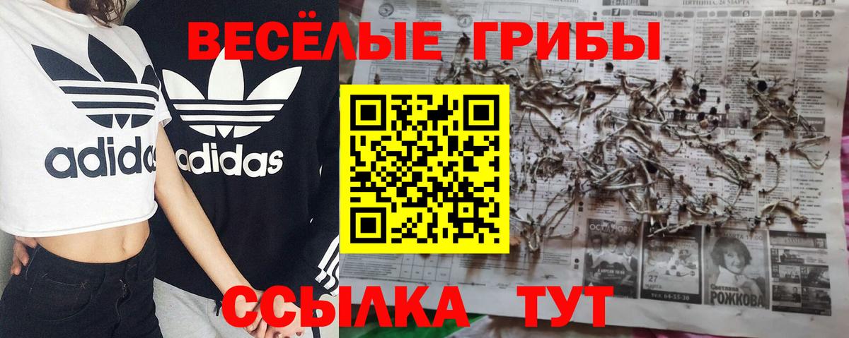 Александров  Галлюциногенные грибы ЛСД  Вход с VPN  Галлюциногенные грибы Cubensis 
