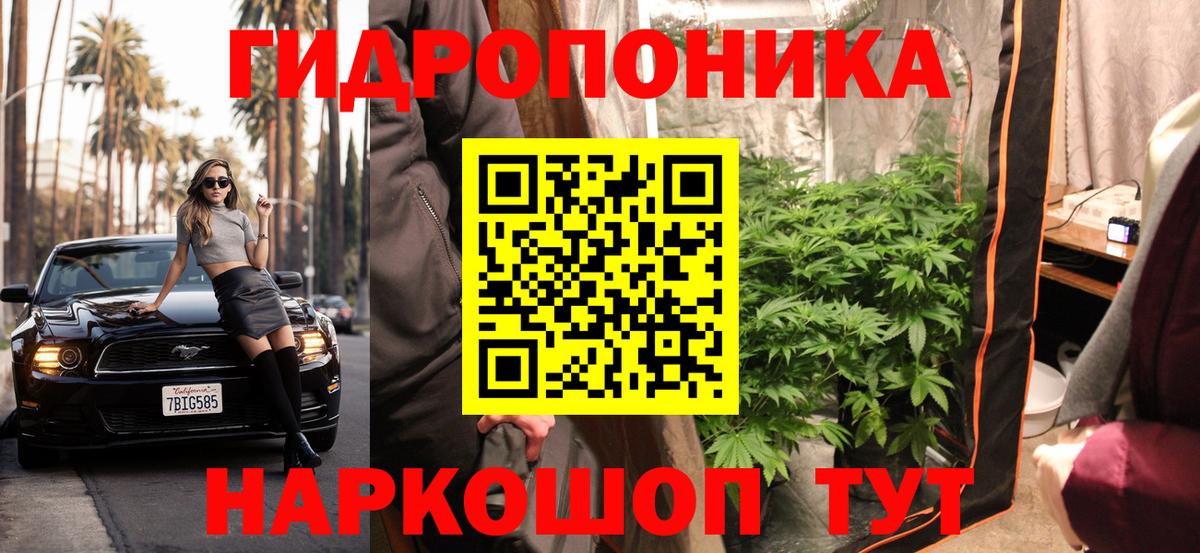 Александров  Канабис Bruce Banner  Каннабис ГИДРОПОН  Шишки марихуана White Widow  Вход с VPN  МАРИХУАНА тримм 